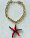 Giant Starfish | Coral